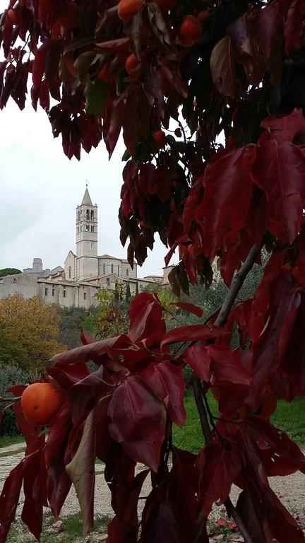 Ferienwohnung La Casa Di Famiglia Assisi Exterior foto